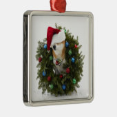Shiba Inu Hundtragende Weihnachtsmannmütze, die Silbernes Ornament (Rechts)