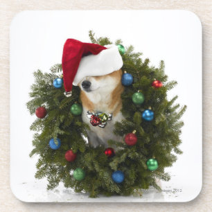 Shiba Inu Hundtragende Weihnachtsmannmütze, die Untersetzer