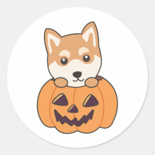 Shiba Inu in Pumpkin Sweet Hunde Happy Halloween C Runder Aufkleber