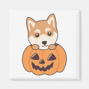 Shiba Inu in Pumpkin Sweet Hunde Happy Halloween M Magnet