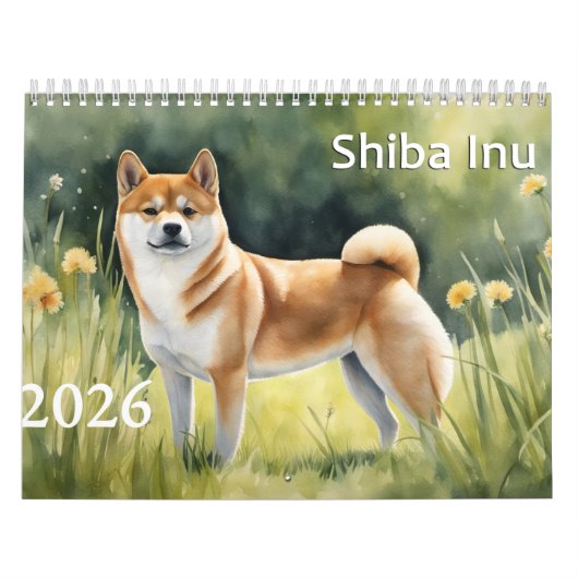Shiba Inu Kalender (Titelbild)