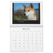 Shiba Inu Kalender 2012 (Mär 2027)