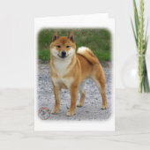 Shiba Inu Karte (Vorderseite)