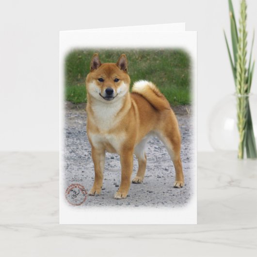 Shiba Inu Karte (Vorderseite)