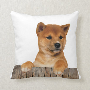Shiba Inu Kissen