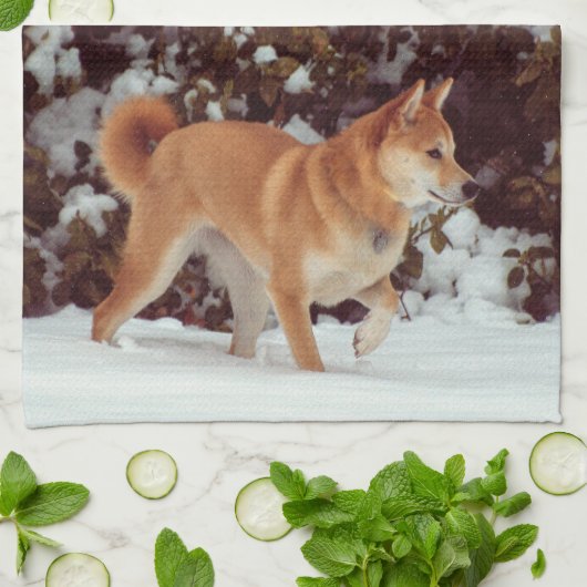 Shiba Inu Kitchen Handtücher (Gefaltet)