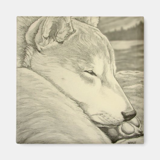 Shiba Inu Kühlschrankmagnet Husky Dog Magnet Gesch (Vorne)