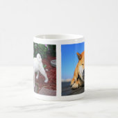 Shiba-inu Maru Kaffeetasse (Mittel)