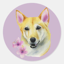 Shiba Inu mit Sakura Malerei | Hundebart