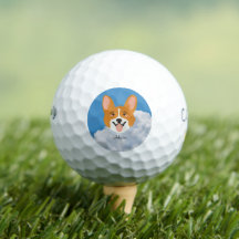 Shiba inu mit Sky Golf Balls