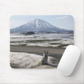 Shiba Inu Mousepad (Mit Mouse)