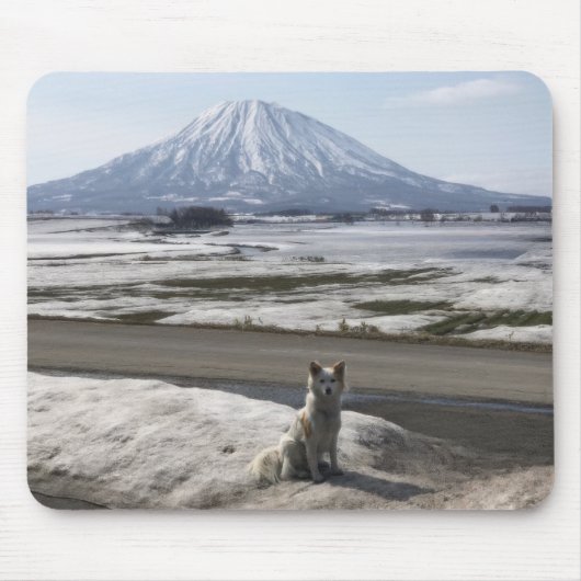Shiba Inu Mousepad (Vorne)