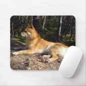 Shiba-Inu Mousepad (Mit Mouse)
