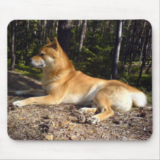 Shiba-Inu Mousepad