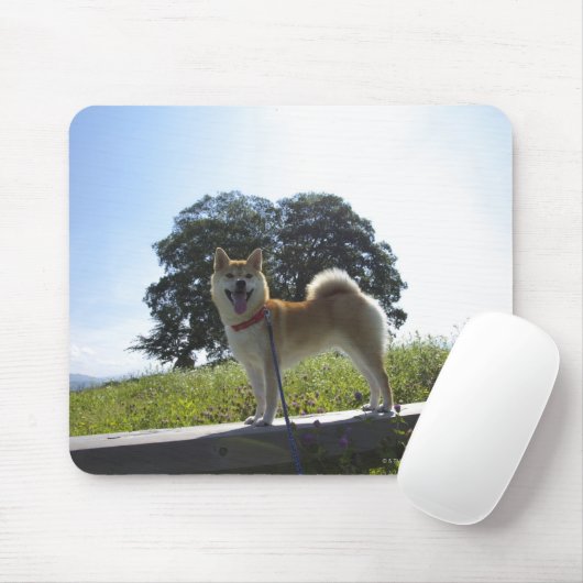 Shiba Inu Mousepad (Mit Mouse)