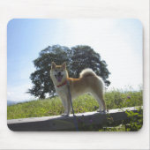 Shiba Inu Mousepad (Vorne)