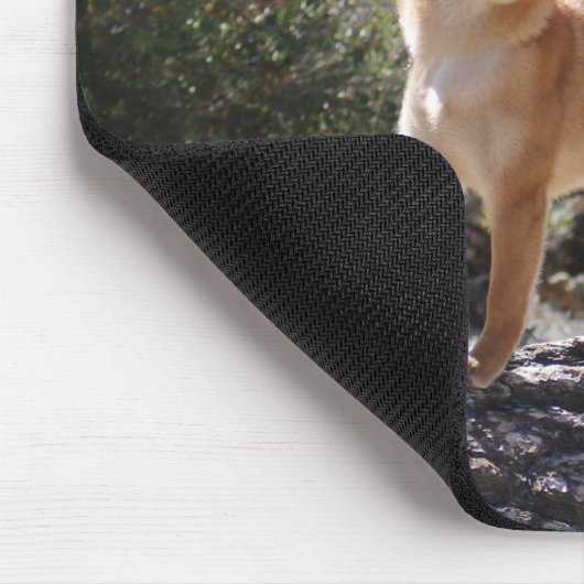 Shiba Inu Mousepad (Ecke)