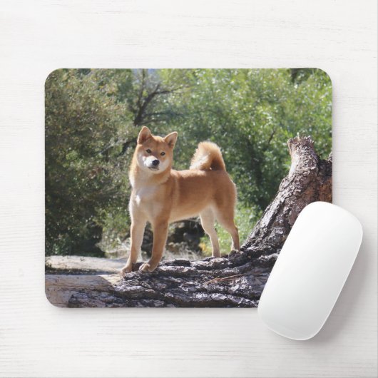 Shiba Inu Mousepad (Mit Mouse)