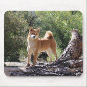 Shiba Inu Mousepad (Vorne)