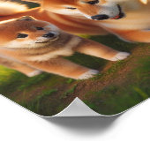 Shiba Inu Mutter und ihr Welpe Poster (Ecke)