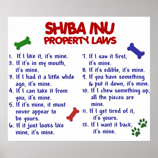 SHIBA INU PL2 POSTER (Vorne)