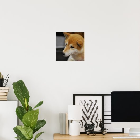 Shiba Inu Poster (Heimbüro)