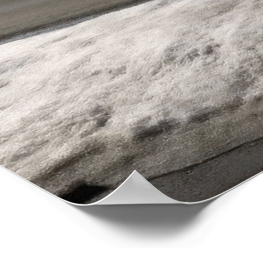 Shiba Inu Poster (Ecke)