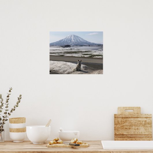 Shiba Inu Poster (Küche)