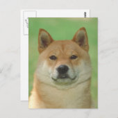 Shiba Inu Postkarte (Vorne/Hinten)