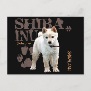 Shiba Inu Postkarte
