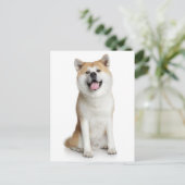 Shiba Inu Puppy Dog Greeting Post Card Postkarte (Stehend Vorderseite)