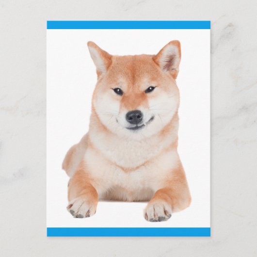 Shiba Inu Puppy Dog Grußkarte Postkarte (Vorderseite)