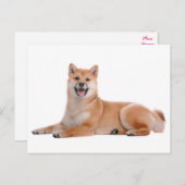 Shiba Inu Puppy Dog Grußkarte Postkarte (Vorne/Hinten)