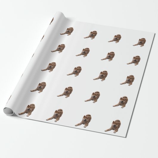 Shiba Inu Puppy Geschenkpapier (Ungerollt)