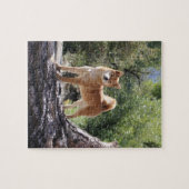 Shiba Inu Puzzle (Horizontal)