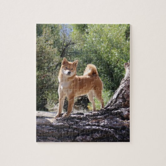 Shiba Inu Puzzle (Vertikal)