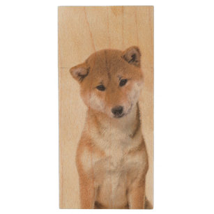 Shiba Inu (Rot) Malerei - Original Hunde Kunst Holz USB Stick