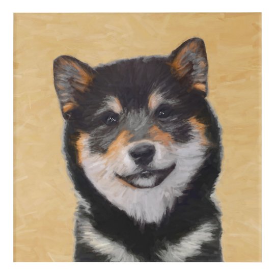 Shiba Inu Schwarz Und Tan Malerei Hundekunst Acryl Wandkunst Zazzle De