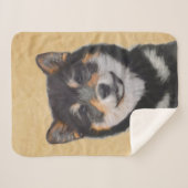 Shiba Inu (Schwarz und Tan) Malerei - Hundekunst Sherpadecke (Vorderseite (Horizontal))