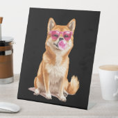 Shiba Inu Sockelschild (In Situ)