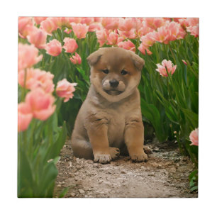 Shiba Inu Spring Flowers Fliese