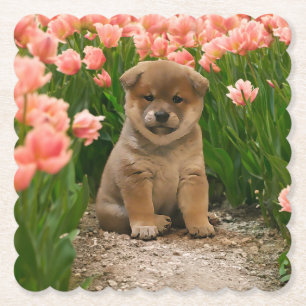 Shiba Inu Spring Flowers Untersetzer