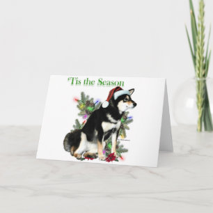 Shiba Inu "Tis Feiertagskarte