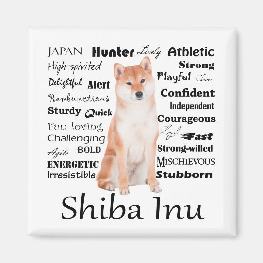 Shiba Inu Traits Magnet (Vorne)
