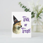 Shiba Inu Trick Postkarte (Stehend Vorderseite)