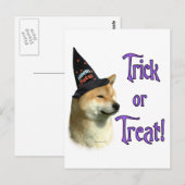 Shiba Inu Trick Postkarte (Vorne/Hinten)