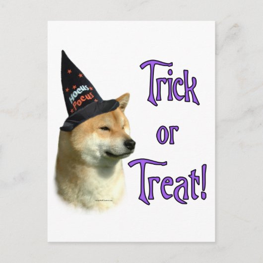 Shiba Inu Trick Postkarte (Vorderseite)