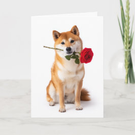 Shiba Inu Valentine Karte