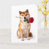 Shiba Inu Valentinstag – Stille Hingabe Karte (Gelbe Blume)