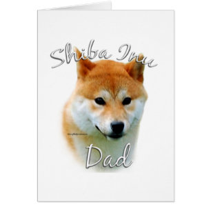Shiba Inu Vater 2
